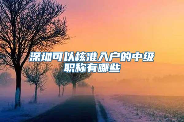 深圳可以核准入户的中级职称有哪些