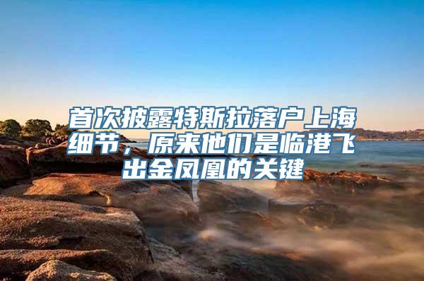 首次披露特斯拉落户上海细节，原来他们是临港飞出金凤凰的关键