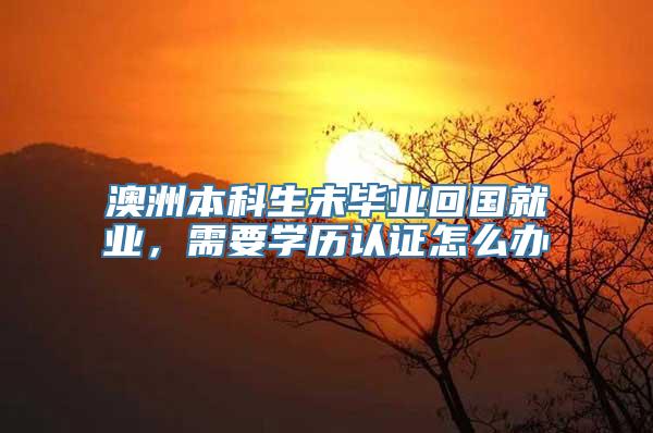 澳洲本科生未毕业回国就业，需要学历认证怎么办