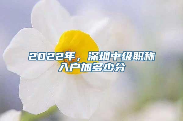 2022年，深圳中级职称入户加多少分