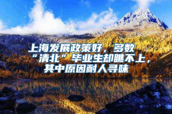 上海发展政策好，多数“清北”毕业生却瞧不上，其中原因耐人寻味