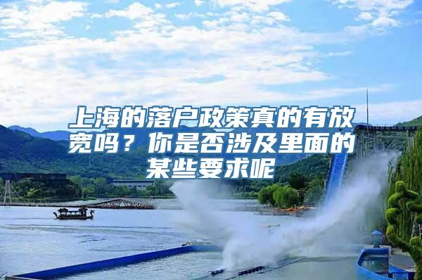 上海的落户政策真的有放宽吗？你是否涉及里面的某些要求呢