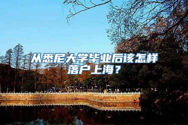 从悉尼大学毕业后该怎样落户上海？
