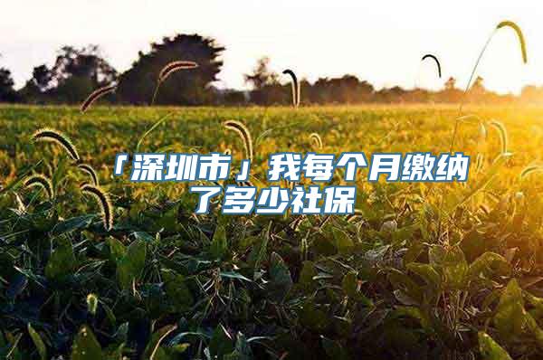 「深圳市」我每个月缴纳了多少社保