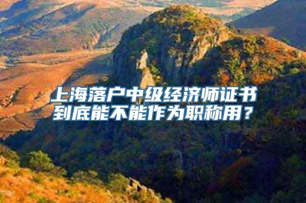 上海落户中级经济师证书到底能不能作为职称用？