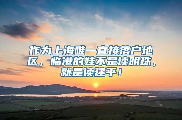 作为上海唯一直接落户地区，临港的娃不是读明珠，就是读建平！