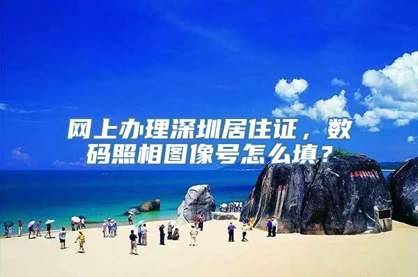 网上办理深圳居住证，数码照相图像号怎么填？