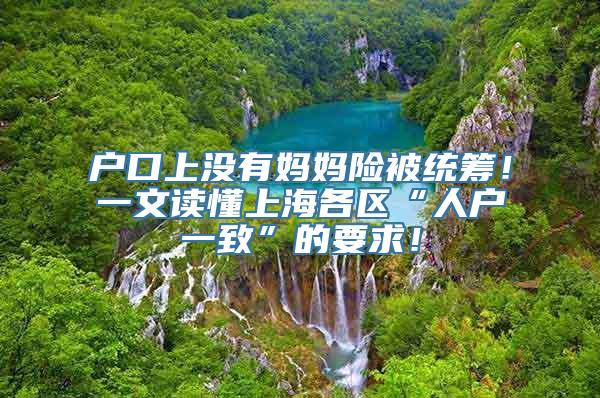 户口上没有妈妈险被统筹！一文读懂上海各区“人户一致”的要求！
