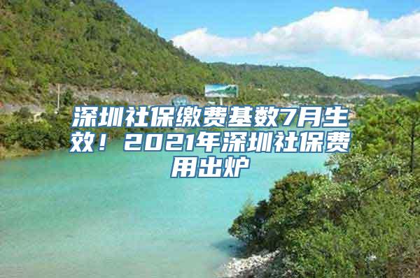 深圳社保缴费基数7月生效！2021年深圳社保费用出炉