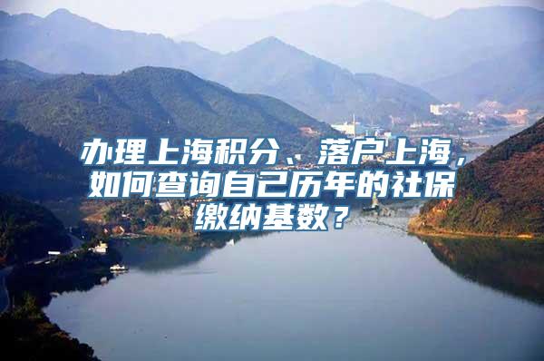 办理上海积分、落户上海，如何查询自己历年的社保缴纳基数？