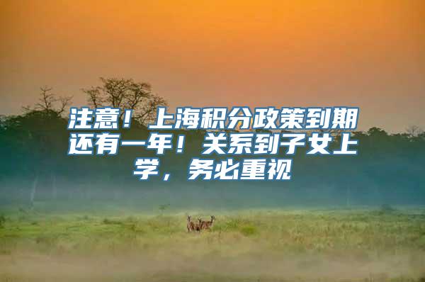 注意！上海积分政策到期还有一年！关系到子女上学，务必重视