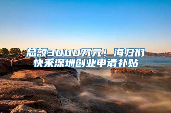 总额3000万元！海归们快来深圳创业申请补贴