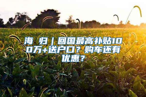 海 归｜回国最高补贴100万+送户口？购车还有优惠？