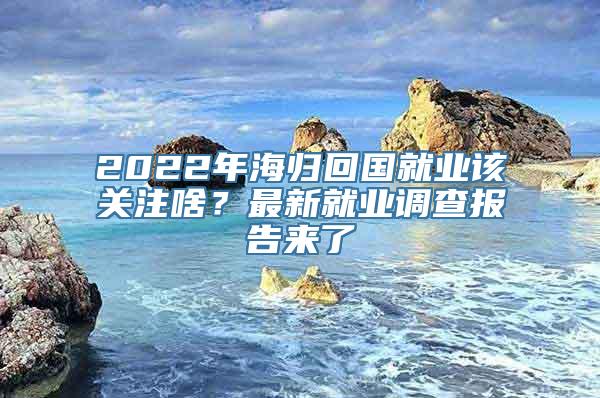 2022年海归回国就业该关注啥？最新就业调查报告来了