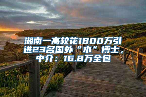 湖南一高校花1800万引进23名国外“水”博士，中介：16.8万全包