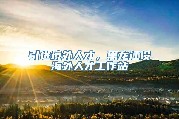 引进境外人才，黑龙江设海外人才工作站