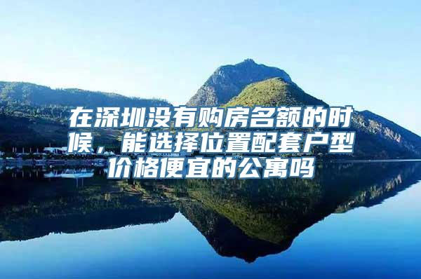 在深圳没有购房名额的时候，能选择位置配套户型价格便宜的公寓吗