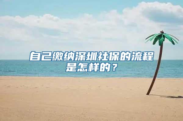 自己缴纳深圳社保的流程是怎样的？