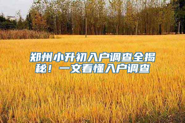 郑州小升初入户调查全揭秘！一文看懂入户调查
