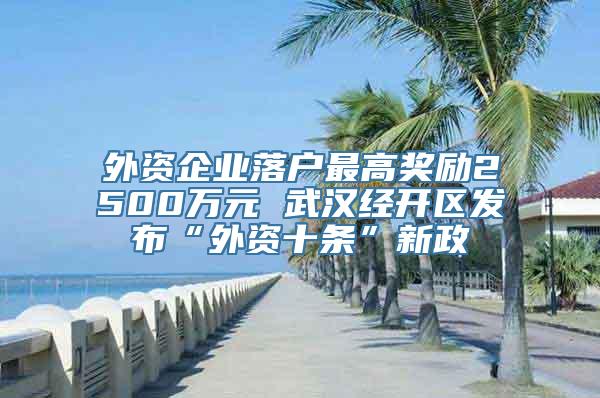 外资企业落户最高奖励2500万元 武汉经开区发布“外资十条”新政