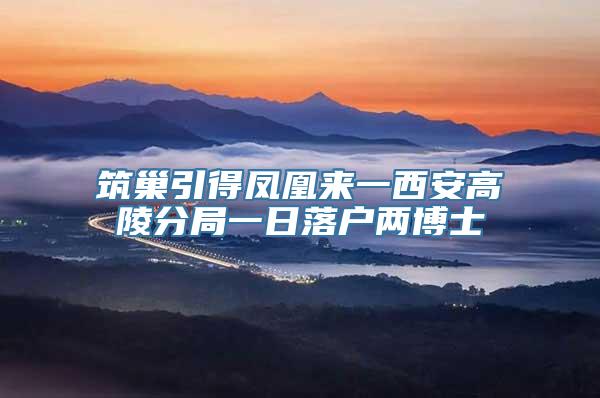 筑巢引得凤凰来一西安高陵分局一日落户两博士
