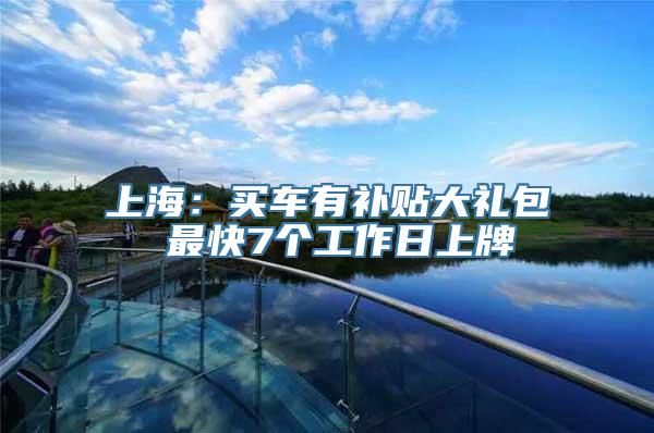 上海：买车有补贴大礼包 最快7个工作日上牌