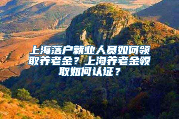 上海落户就业人员如何领取养老金？上海养老金领取如何认证？