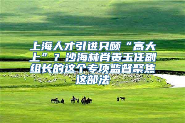 上海人才引进只顾“高大上”？沙海林肖贵玉任副组长的这个专项监督聚焦这部法