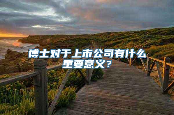 博士对于上市公司有什么重要意义？