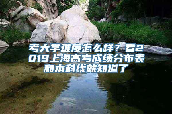 考大学难度怎么样？看2019上海高考成绩分布表和本科线就知道了