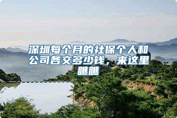 深圳每个月的社保个人和公司各交多少钱，来这里瞧瞧