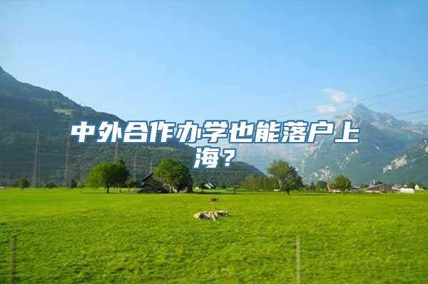 中外合作办学也能落户上海？