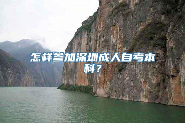 怎样参加深圳成人自考本科？