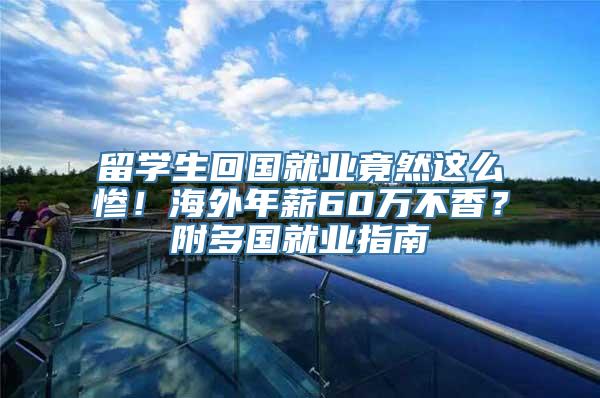 留学生回国就业竟然这么惨！海外年薪60万不香？附多国就业指南