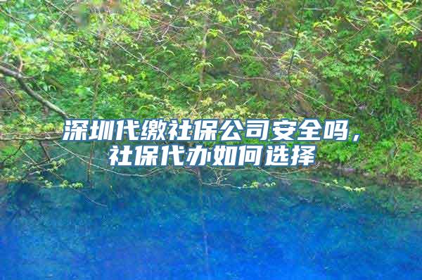 深圳代缴社保公司安全吗，社保代办如何选择