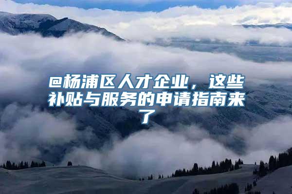 @杨浦区人才企业，这些补贴与服务的申请指南来了