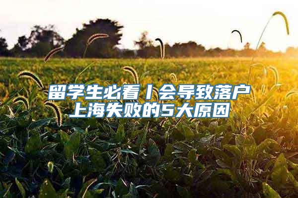留学生必看丨会导致落户上海失败的5大原因