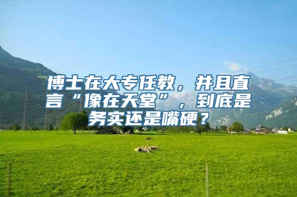 博士在大专任教，并且直言“像在天堂”，到底是务实还是嘴硬？