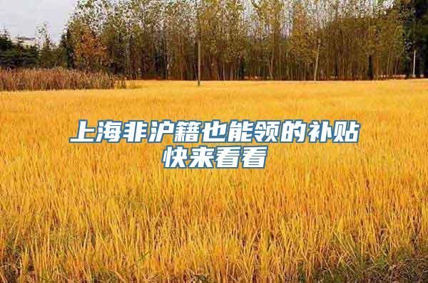 上海非沪籍也能领的补贴快来看看