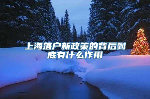 上海落户新政策的背后到底有什么作用