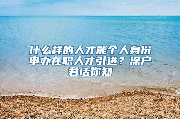 什么样的人才能个人身份申办在职人才引进？深户君话你知
