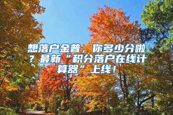 想落户金普，你多少分啦？最新“积分落户在线计算器”上线！