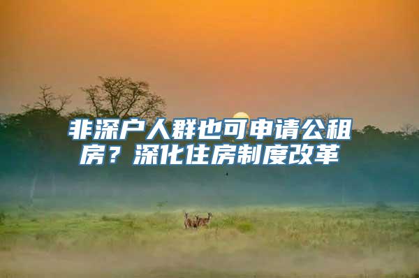非深户人群也可申请公租房？深化住房制度改革