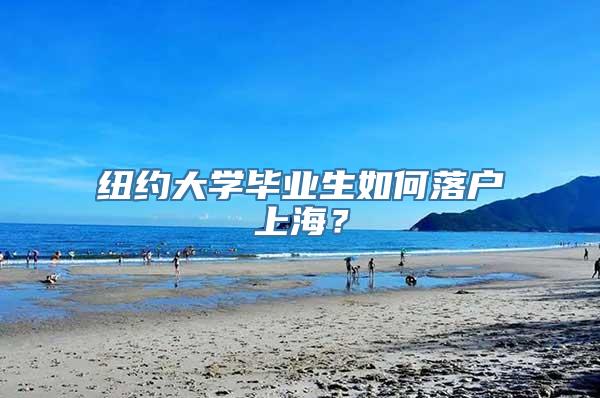 纽约大学毕业生如何落户上海？