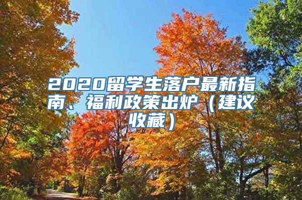 2020留学生落户最新指南、福利政策出炉（建议收藏）