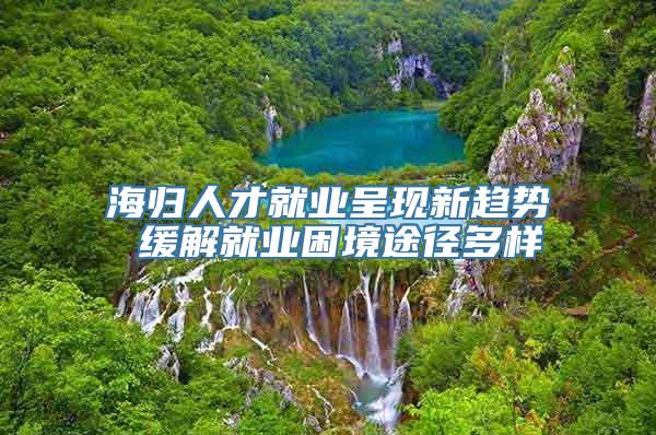 海归人才就业呈现新趋势 缓解就业困境途径多样