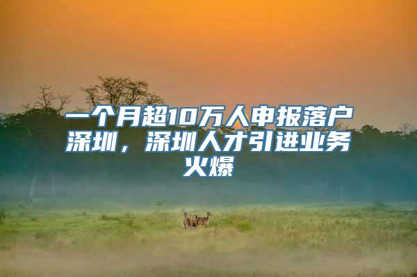 一个月超10万人申报落户深圳，深圳人才引进业务火爆