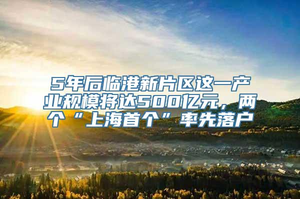 5年后临港新片区这一产业规模将达500亿元，两个“上海首个”率先落户