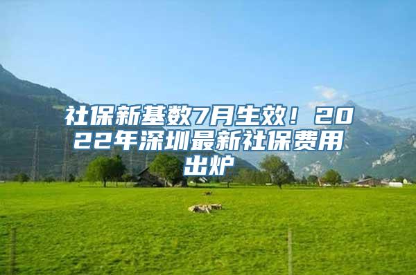 社保新基数7月生效！2022年深圳最新社保费用出炉