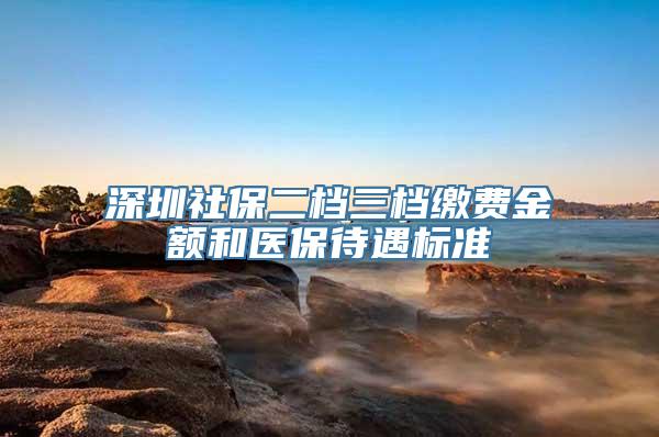 深圳社保二档三档缴费金额和医保待遇标准